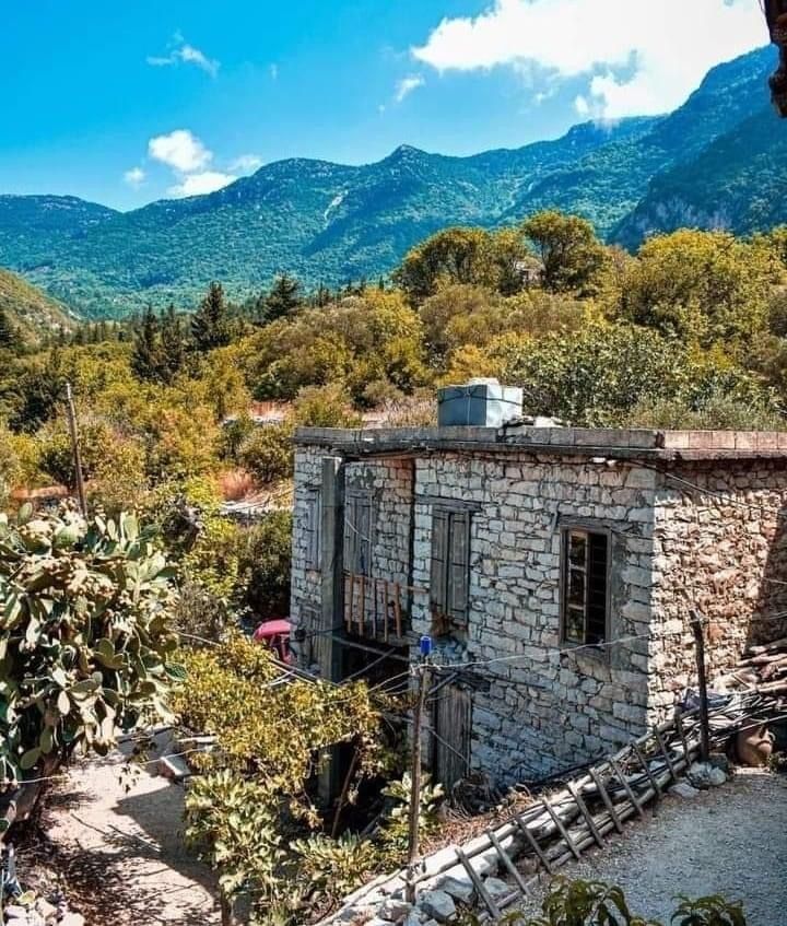 Деревня Аль-Самра: где зеленые леса обнимают лазурь Средиземного моря