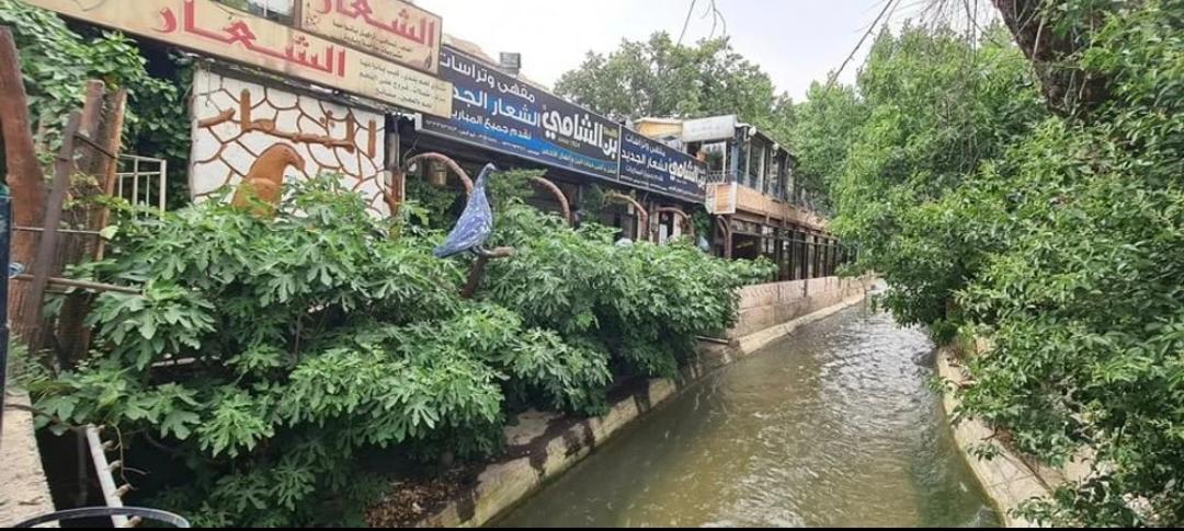 رئة دمشق الخضراء وملاذ الهدوء على ضفاف بردى